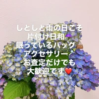 画像599