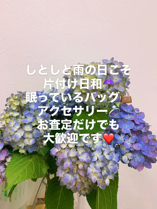 画像599